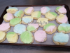 thumb_230_20180327_190447_wm.jpg